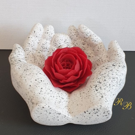 schützende Hände mit Rose